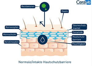 Grafische Darstellung der Hautschutzbarriere einer normalen Haut